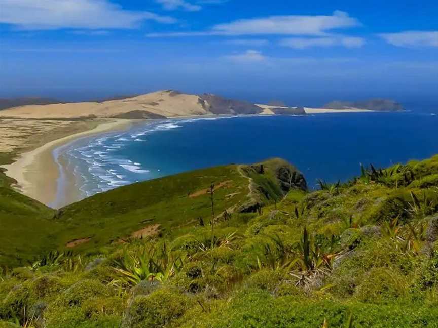 New Zealand Coast