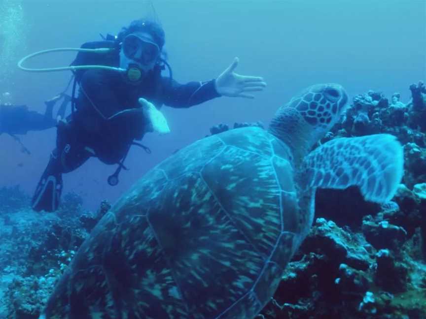 Rottnest Island Scuba Diving, Tours in Fremantle