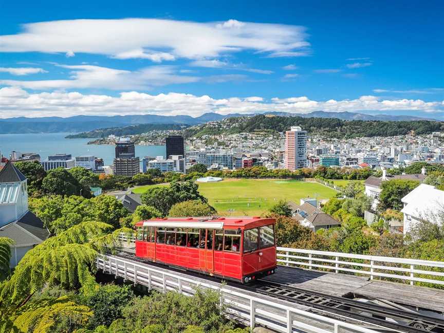 Princess Cruises | Brisbane to New Zealand return cruises, Tours in Brisbane