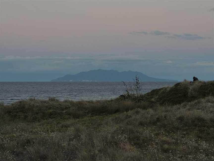 Tahwaranui Regional Park, looking out a Little Barrier Island.