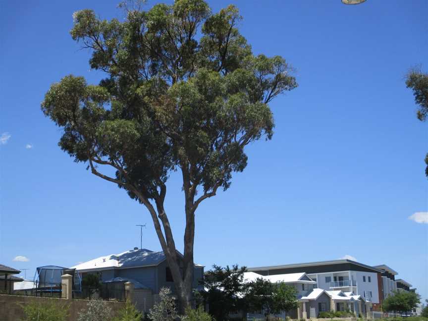 Baldivis housing estate on Nairn Drive, November 2019.jpg