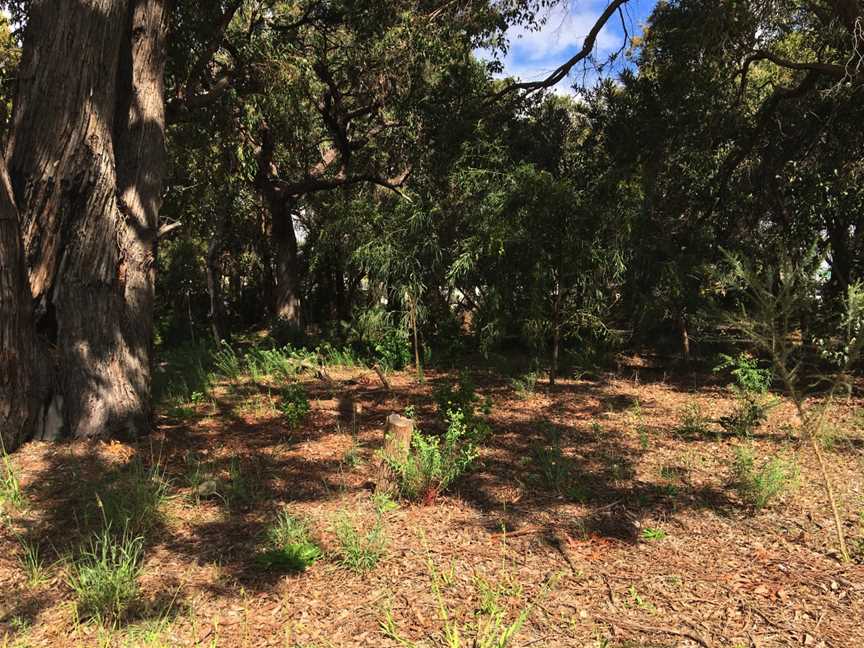 Harold Field Reserve CKardinya CWestern Australia CSeptember202101