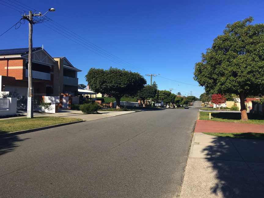 Leafy suburban street