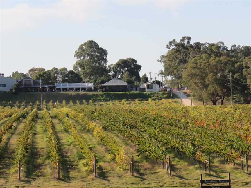 Riverbank Estate Winery, Caversham, April 2021 02.jpg