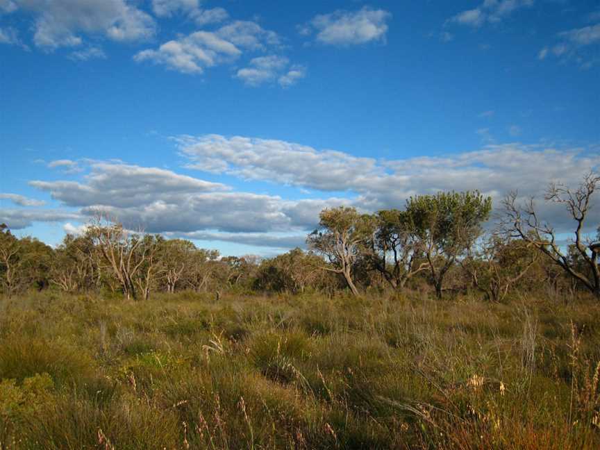 KensingtonBushland21102007 1673924870 8830b2714c o.jpg