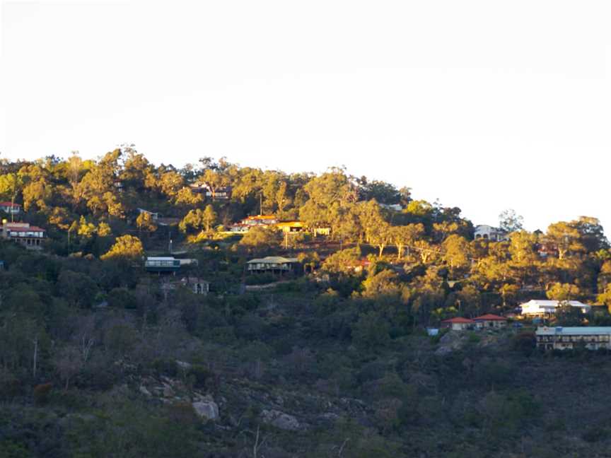 Gooseberry hill 01 gnangarra.JPG