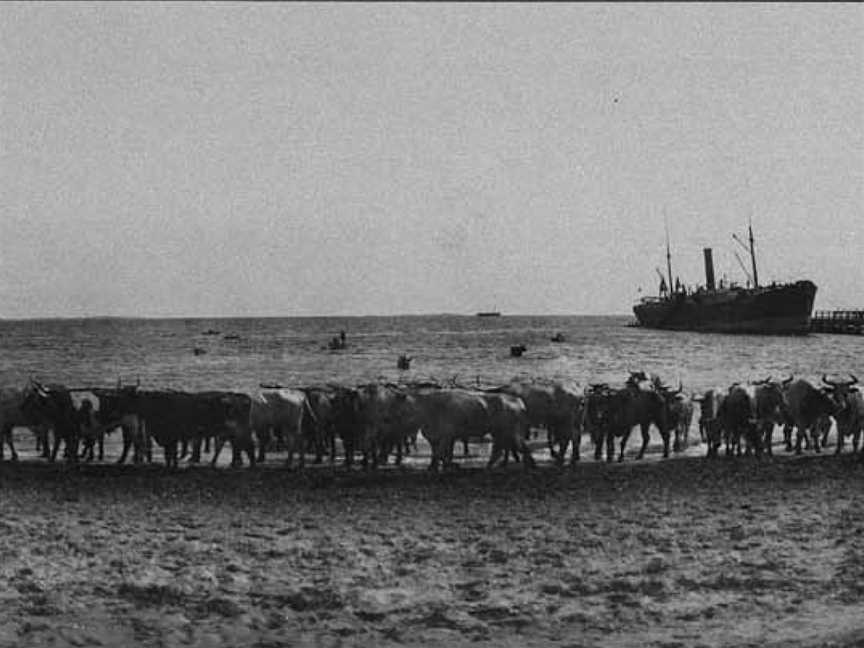 Robb Jetty1920s