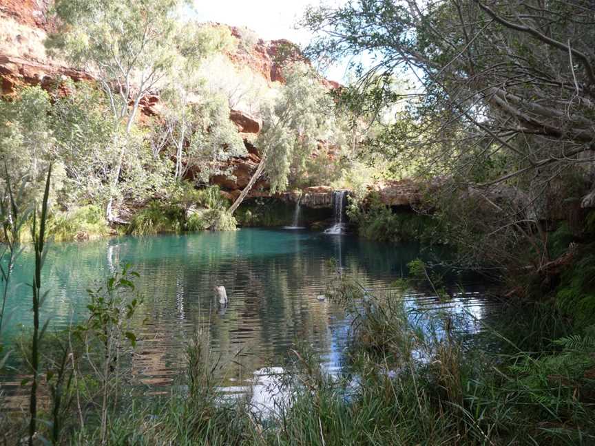 Karijini NP Fern Pool