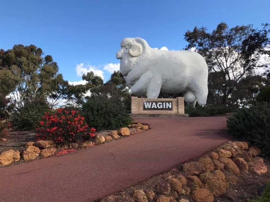 Wagin Big Sheep