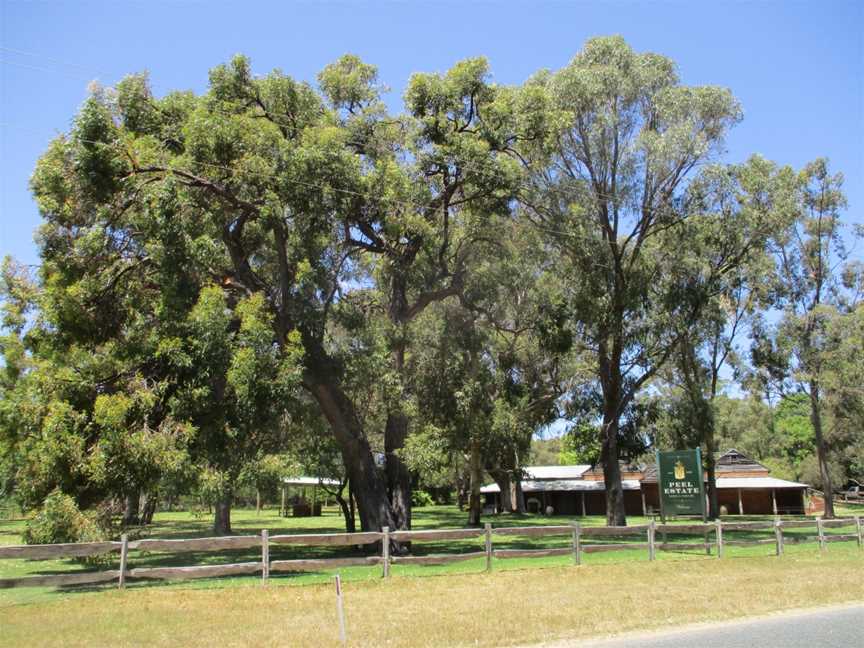 Peel Estate Wines, Karnup, November 2019 01.jpg