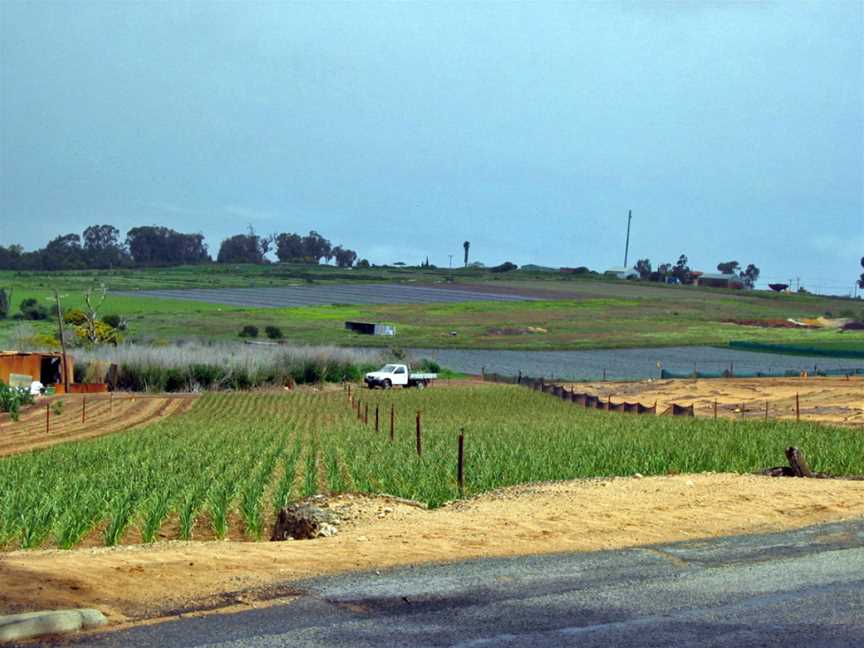 Agricultural land on Wattle Avenue - Neerabup