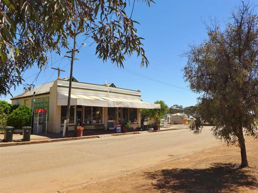 Doodlakine Store, 2014.JPG