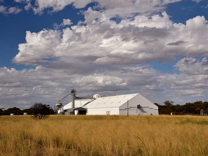 Yoting grain receival point, 2018 (01).jpg