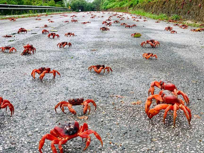 Christmas Island, Towns in Christmas Island