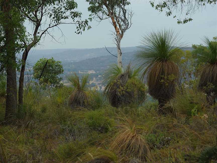 Hacketts Gully, Towns in Hacketts Gully