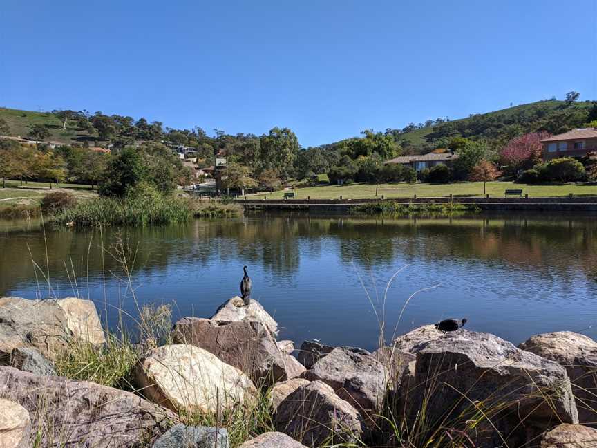 Fadden Hills Pond April 2020.jpg