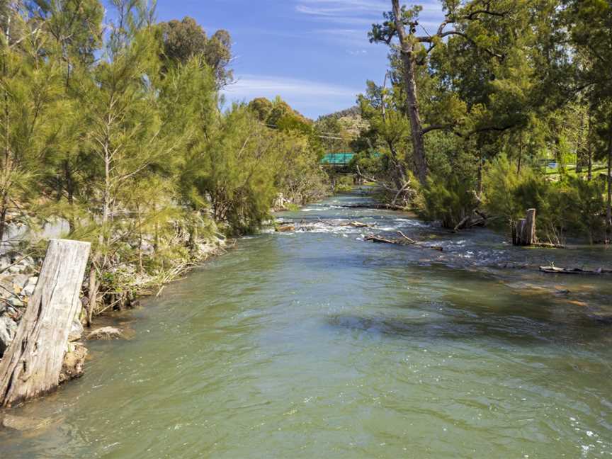 Cotter River, near the Cotter Dam (8).jpg