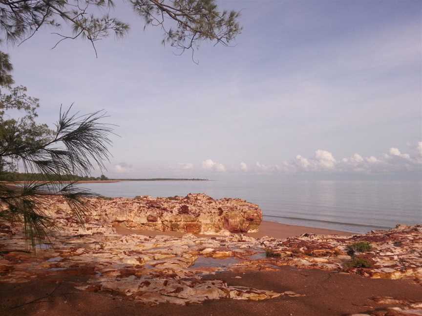 View over the ocean with sand, rocks, and part of a casuarina tree in the foreground