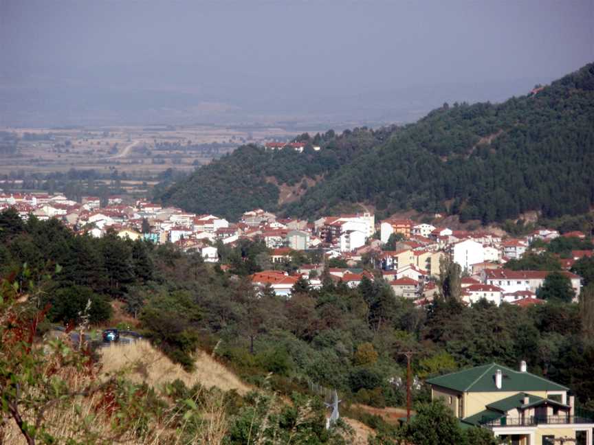 Florina(city) CFlorinaprefecture CGreece Fromthe Northwest( National Road2to Vigla)02