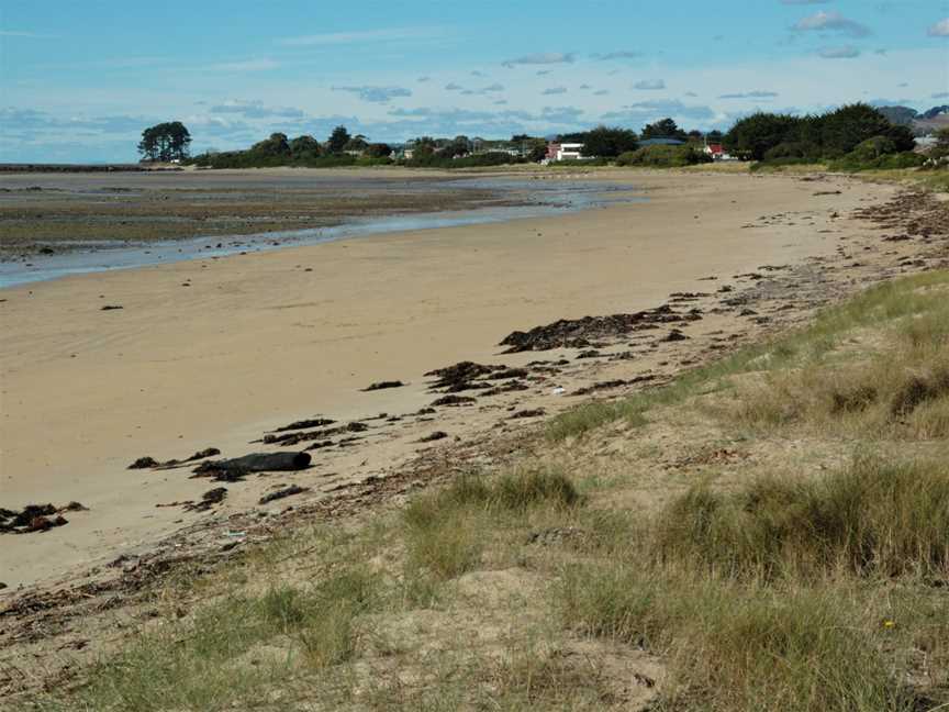 East Wynyard Beach20070423021