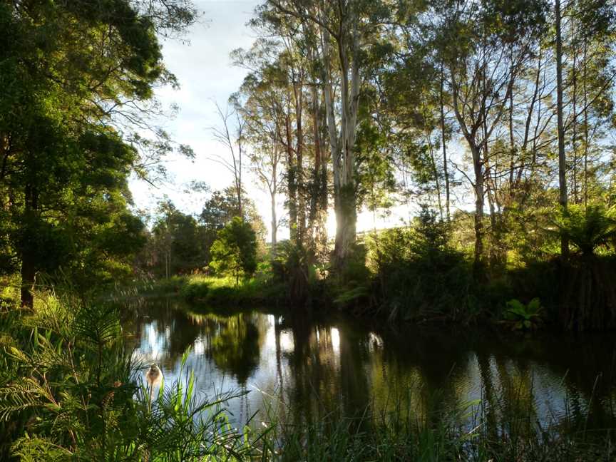 Tuckers Creek CScottsdale Camping Site CTasmania