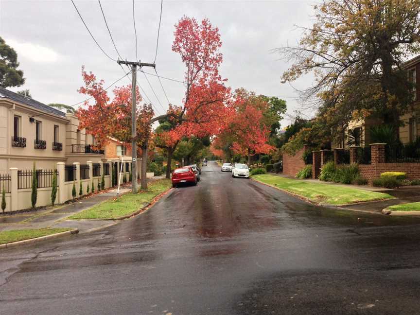 Dunstan Street, Balwyn North.jpg