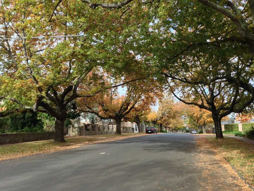 Knutsford Street, Balwyn.jpg