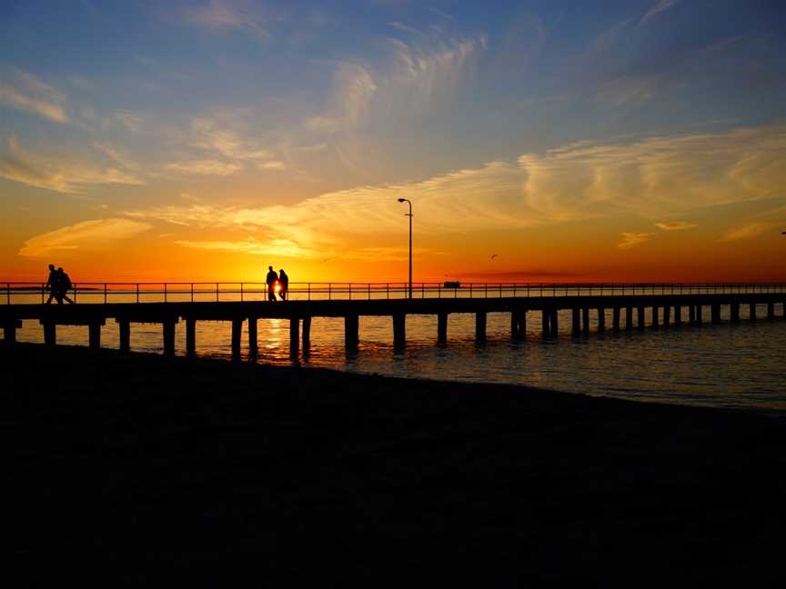 Rosebud CAustralia( Unsplash)