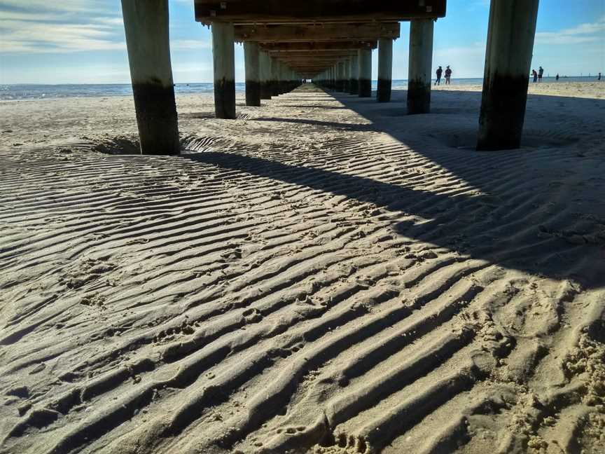 Pierin Rosebudonthe Mornington Peninsulaatlowtide2