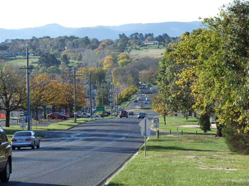 Looking down Gisbornes main street.JPG