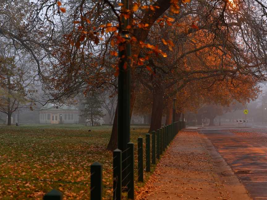 Oaksandfogalong Lake Wendouree