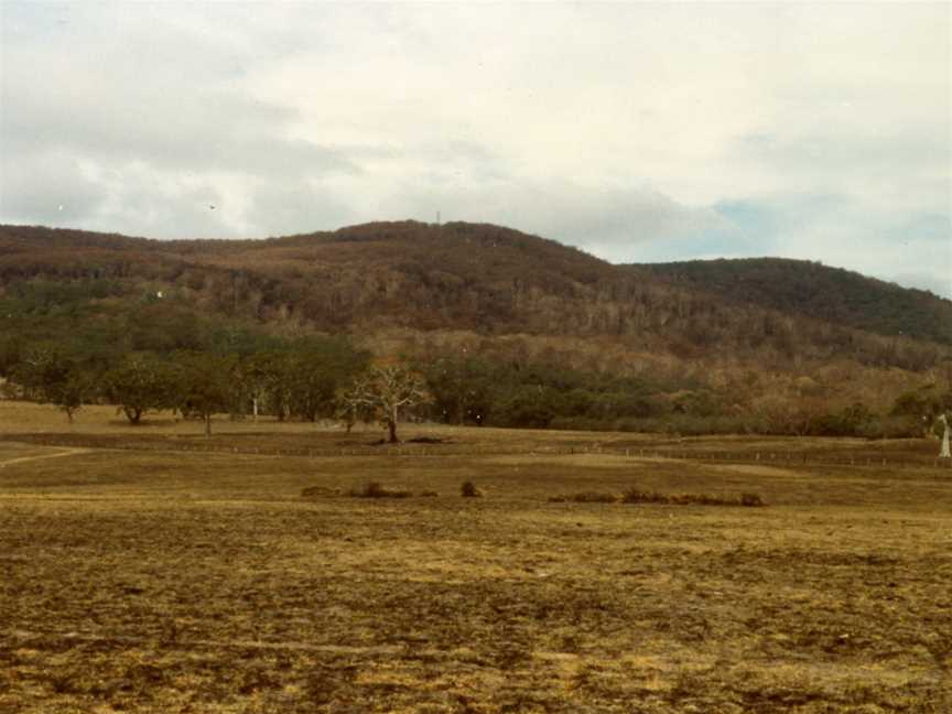 Burntpaddocksandbushlandat Mount Macedonafterthe1983 Ash Wednesdaybushfires