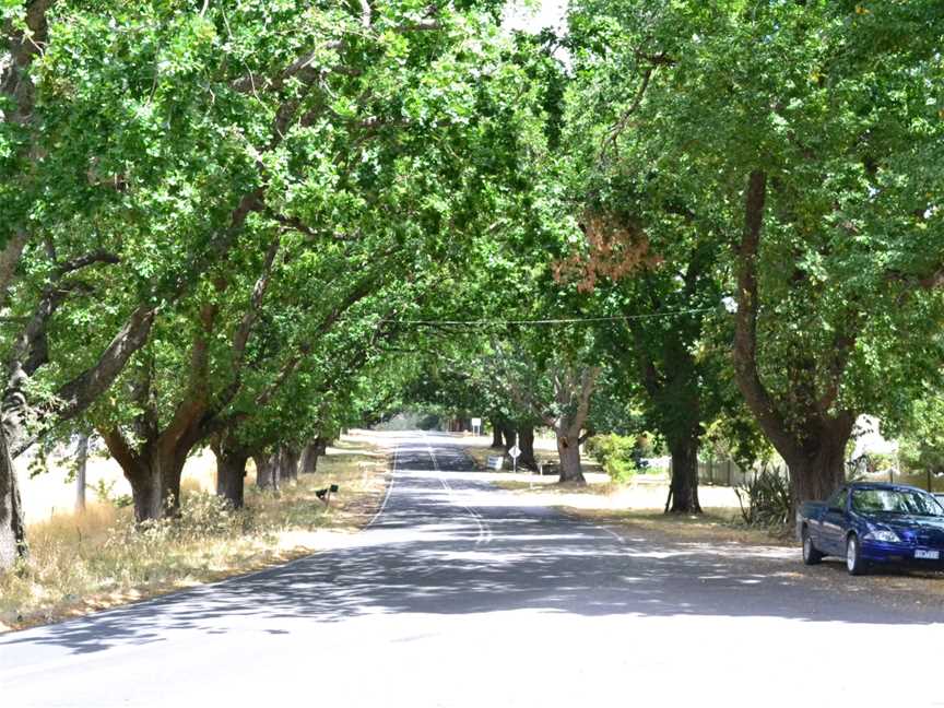 Mainstreetof Glenlyon CVictoria CAustralia