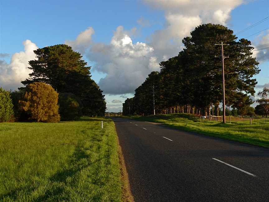 Windbreaks - panoramio.jpg