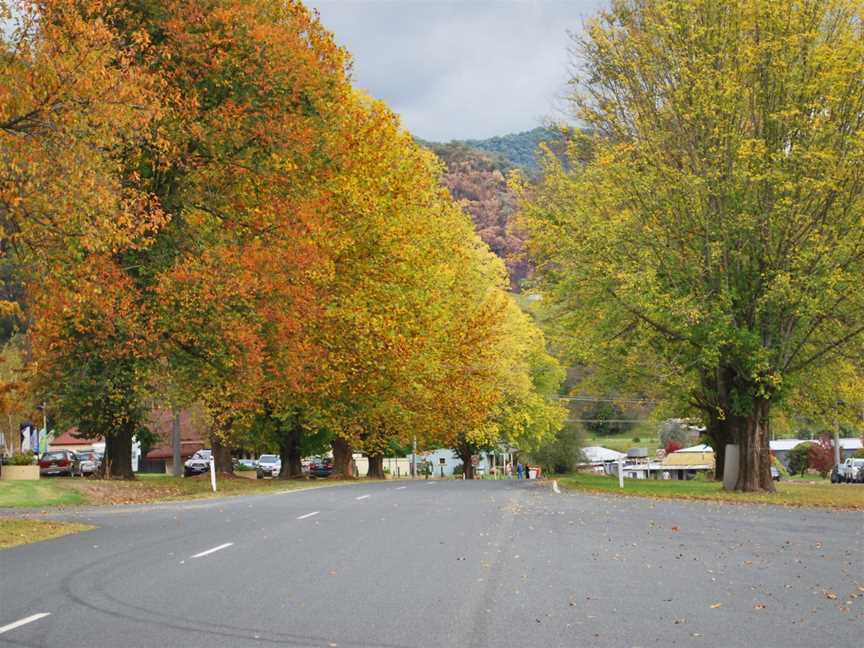 Eskdale Main Street002