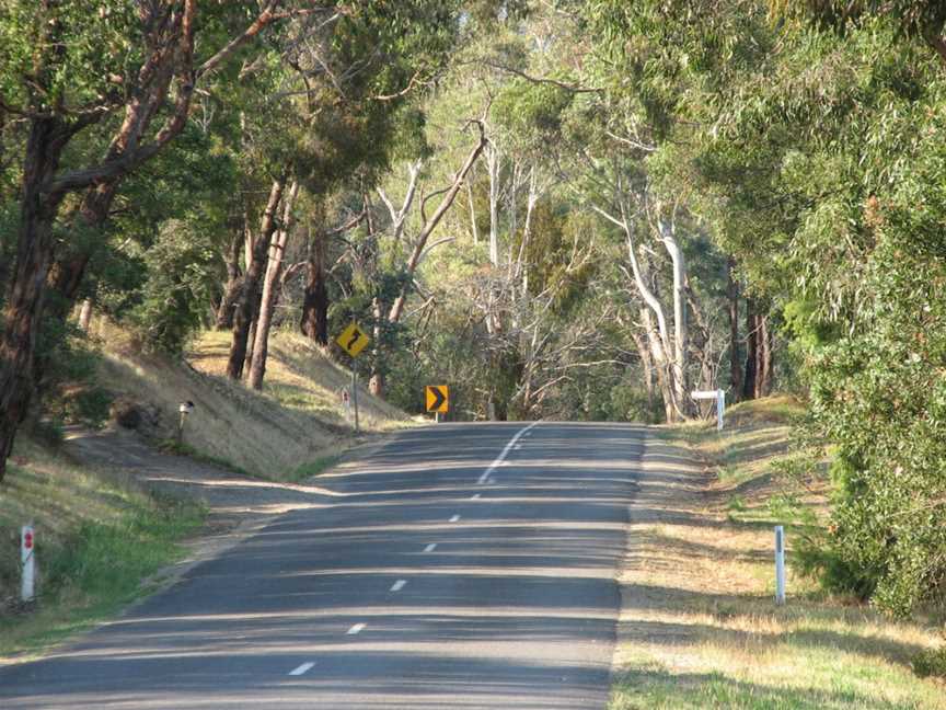 Steels Creek Road.jpg