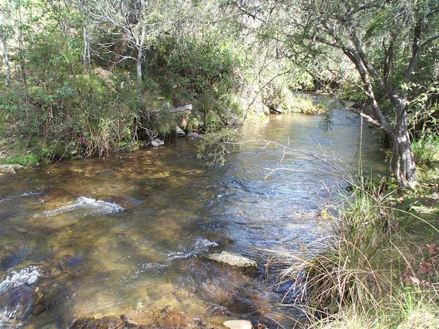 Buckland River, Victoria.jpg