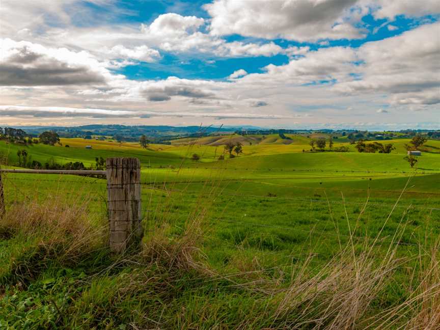 View of Strzelecki Ranges.jpg