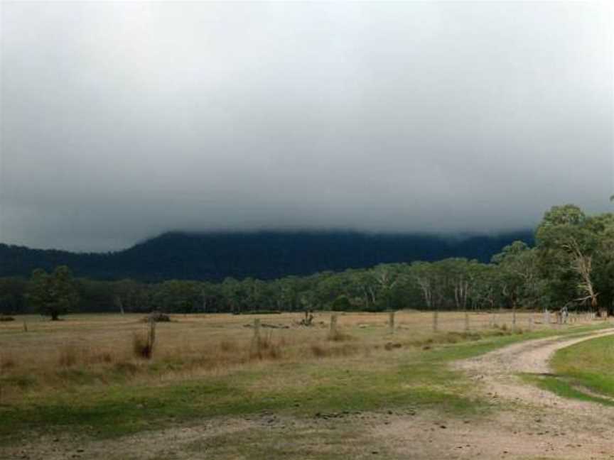 Mount Cole State Forestpanorama