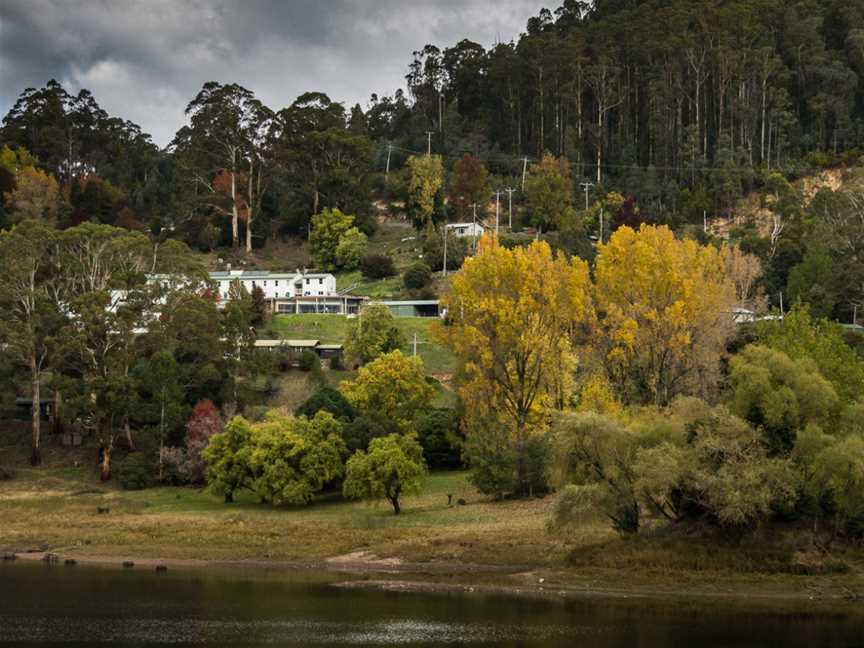 Some autumn colour - panoramio.jpg