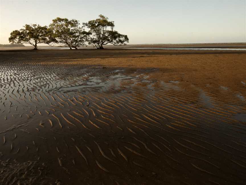 Boondall Wetlands (6968543386).jpg