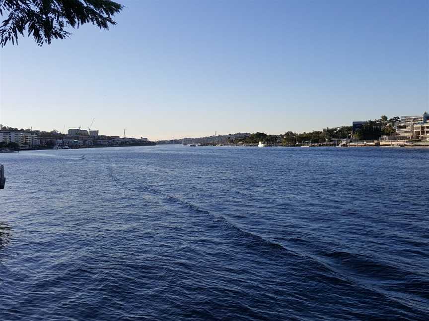 Brisbane Riverfrom Riverwalkat Teneriffe