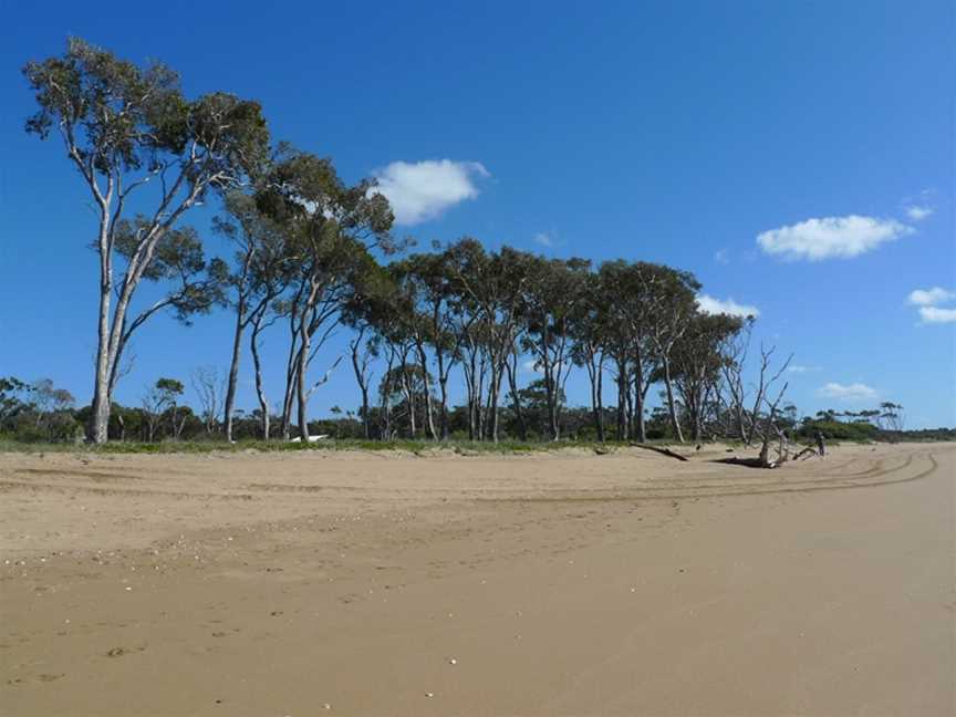 Moore Park Beach.jpg