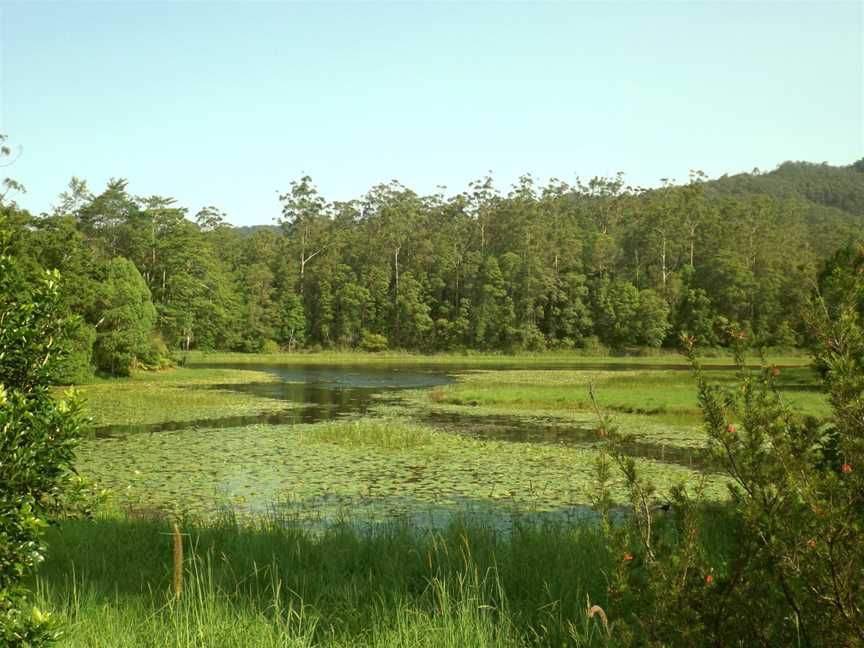 Tallebudgera Creek Dam, Tallebudgera Valley, Queensland.jpg