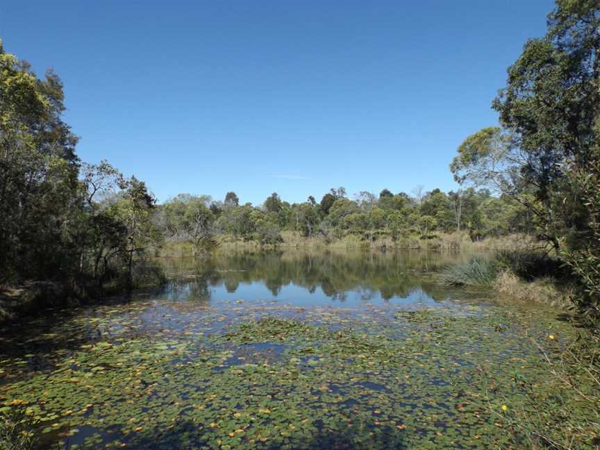 Berrinba Wetlandsbillabong