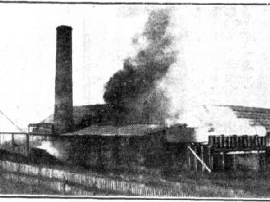 Skyring's Mill Fire, Gladstone, 1930.JPG