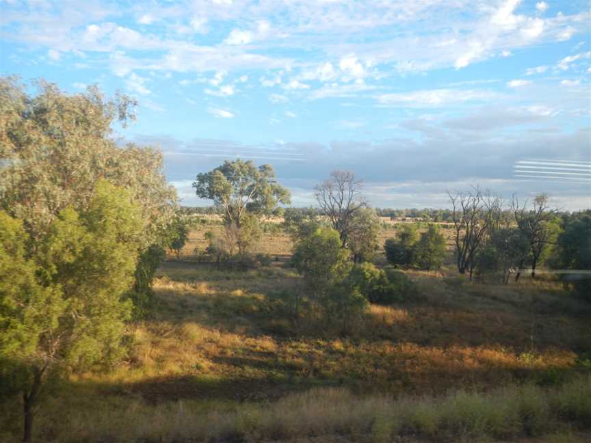 Grazing Land Near Comet - panoramio (1).jpg