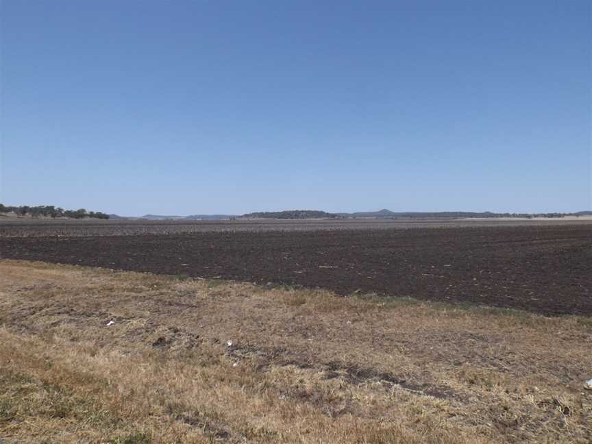 Fields at Mount Tyson.jpg