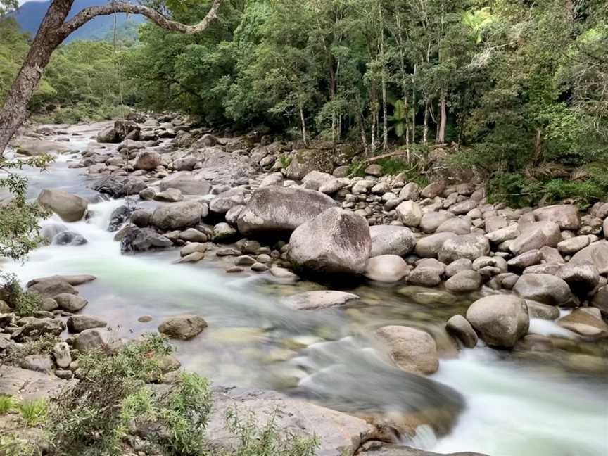 Mossman Gorge CQueensland CJuly2020 C01