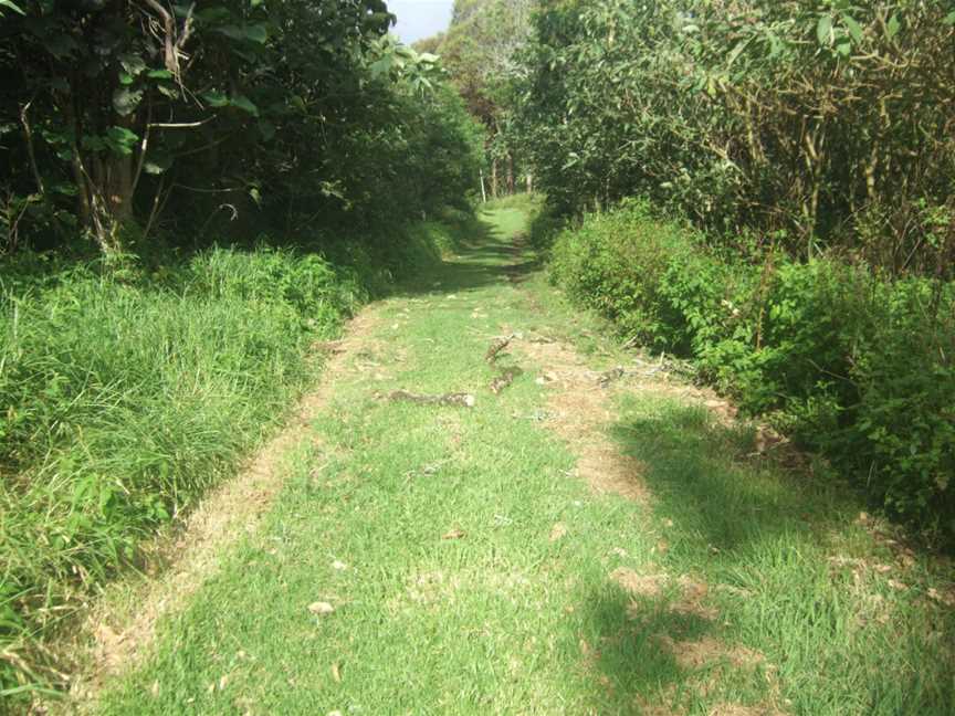 Gold Coast Hinterland Great Walk2 Stevage